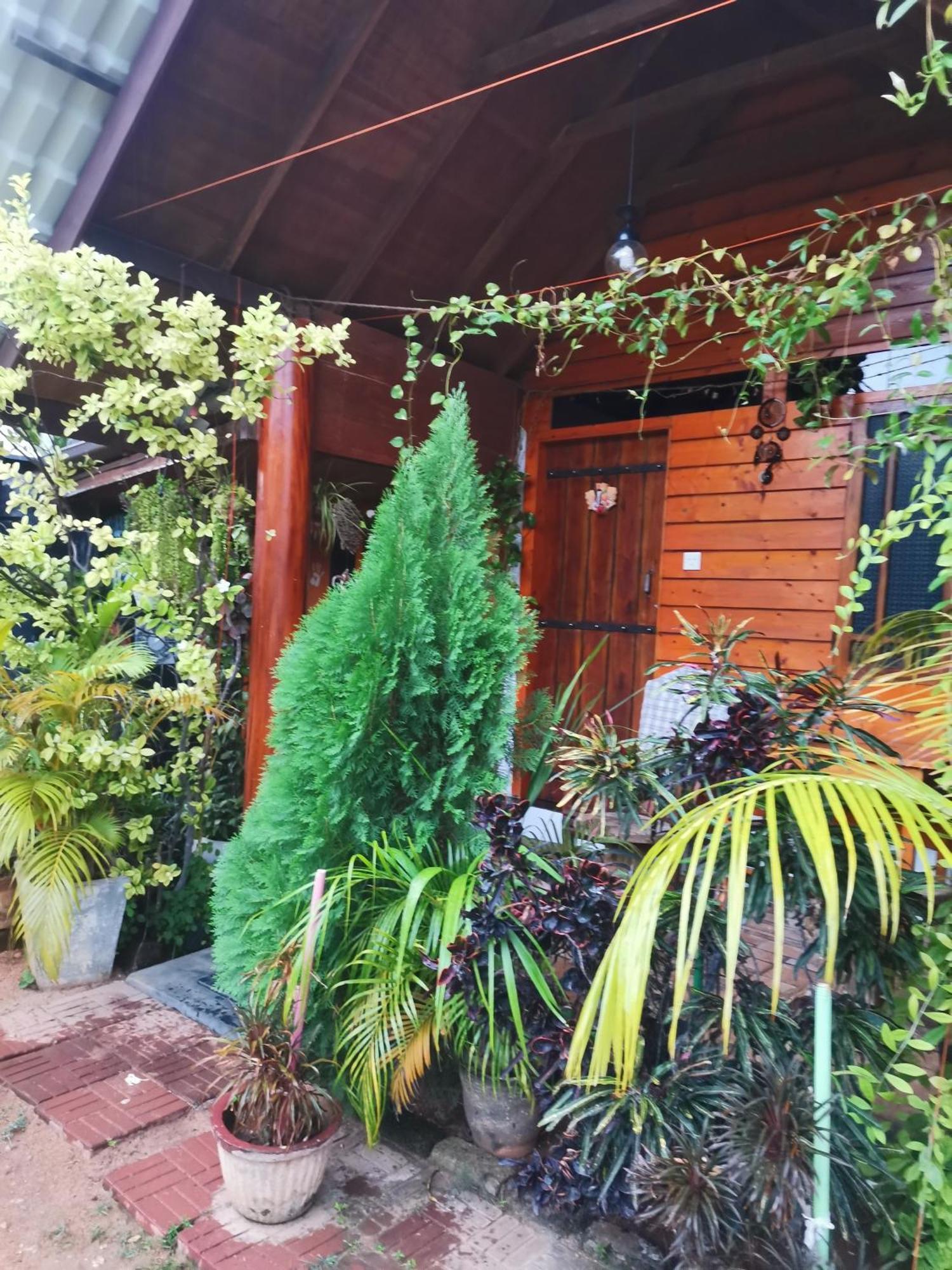 Dot Bey Beach Cabana Trincomalee Exterior foto